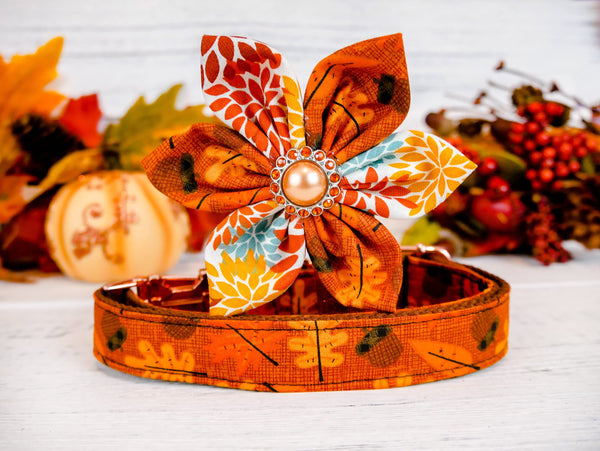 Thanksgiving dog collar with flower - acorn and leaves