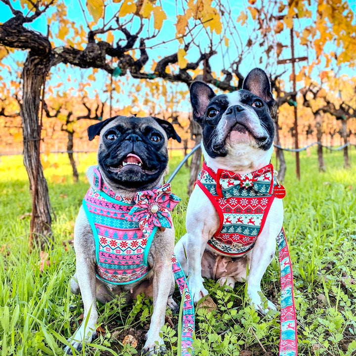 Christmas dog harness - Pink Ugly sweater