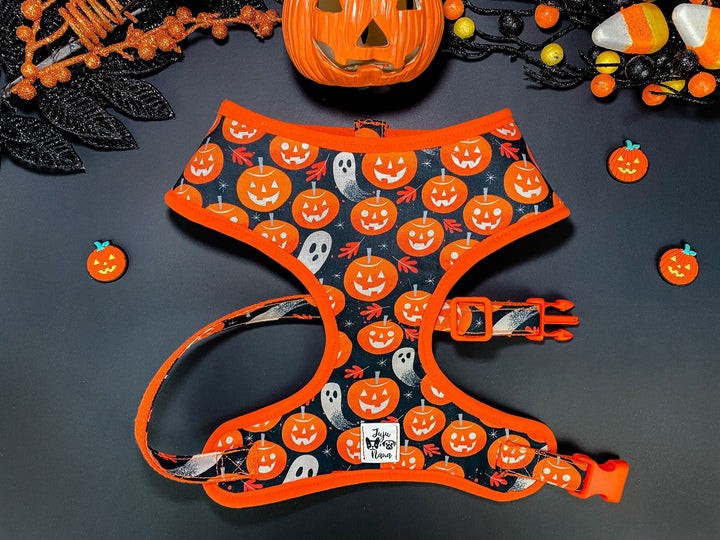 Halloween dog harness set - pumpkin and ghost