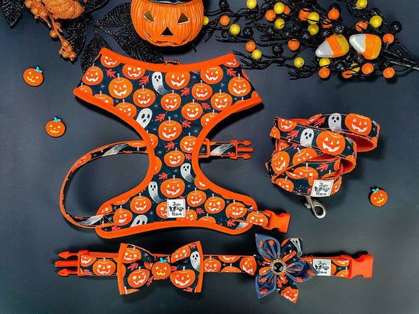 Halloween dog harness set - pumpkin and ghost