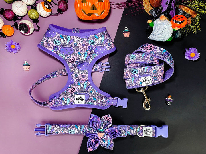 Halloween dog harness - Pastel Spooky Jack O Lantern