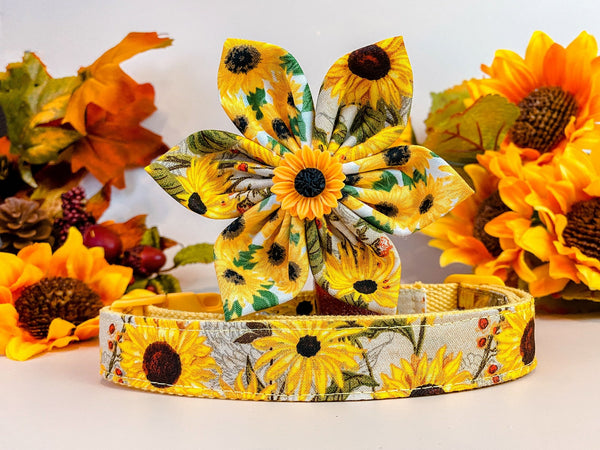Dog collar with flower - Sunflowers