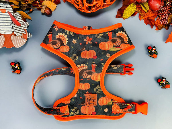 Thanksgiving Dog harness - Turkey and Pumpkins