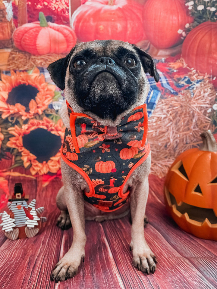 Thanksgiving Dog harness - Turkey and Pumpkins