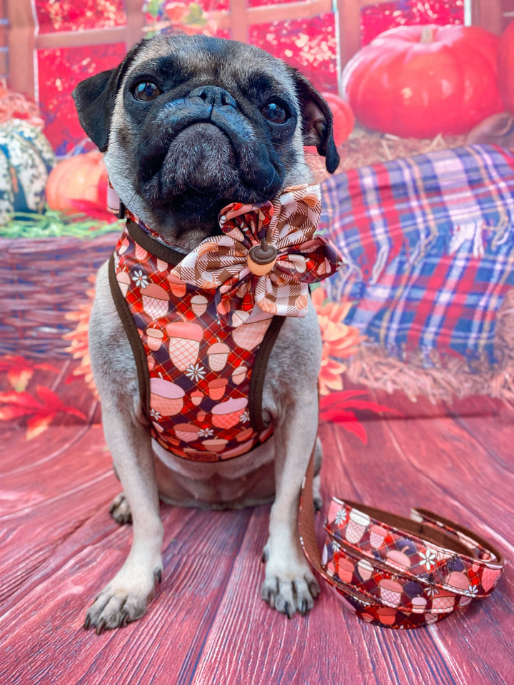 Thanksgiving plaid acorn dog collar with flower/ autumn girl dog collar