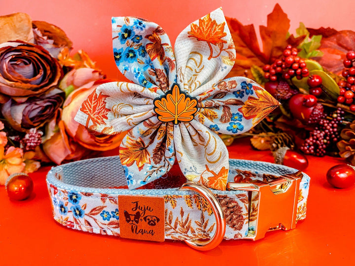 Dog collar with flower - harvest flowers and maple leaves