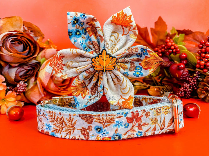 Dog collar with flower - harvest flowers and maple leaves