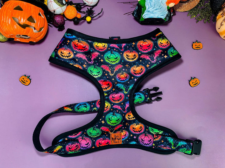 Halloween dog harness - Rainbow pumpkin and bat
