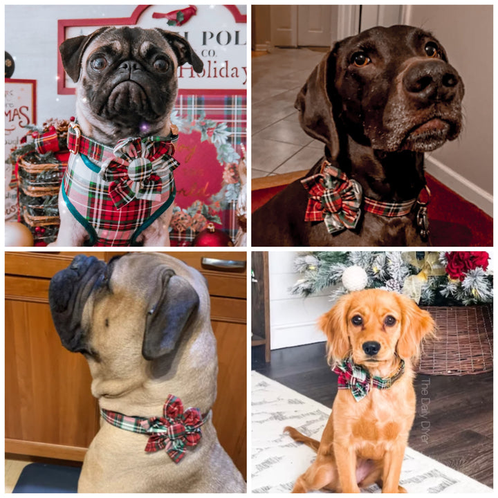 Christmas dog collar with flower - lodge plaid