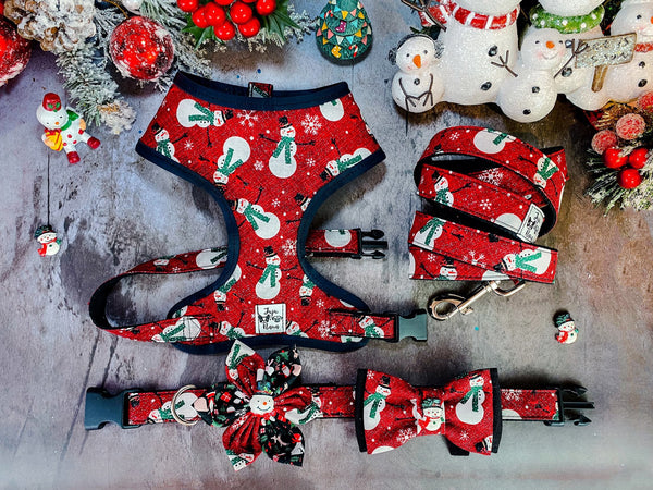 Christmas Dog harness set - Glitter Snowman