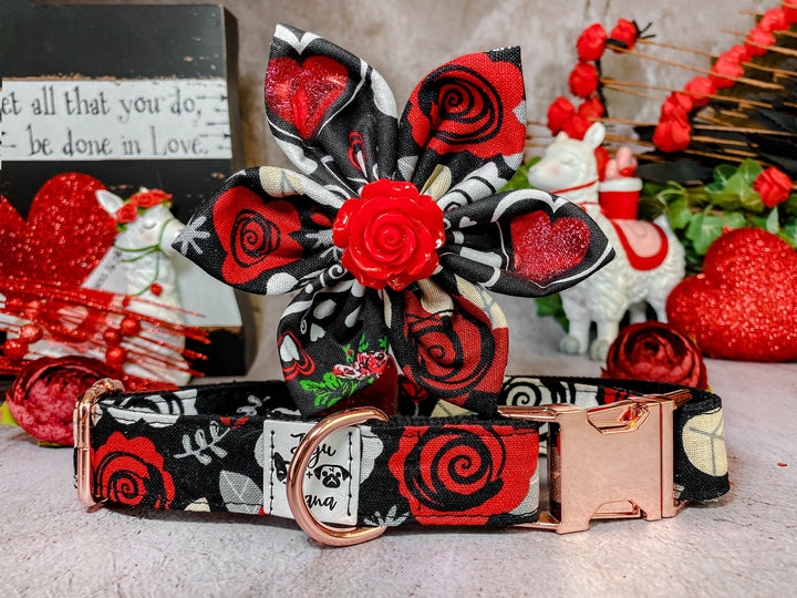 Valentine dog collar with flower - Roses