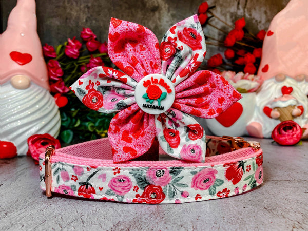 Valentine dog collar with flower - Rosa