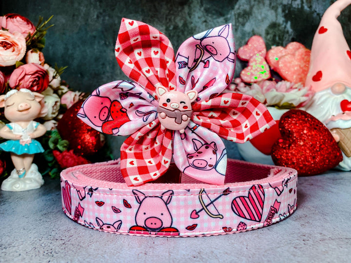 Valentine dog collar with flower - Piggy and heart