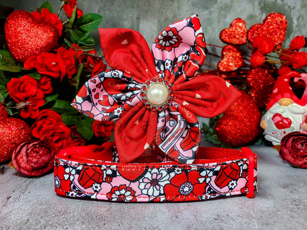 Valentine dog collar with flower - Retro Flower