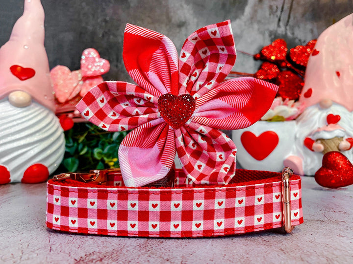 Valentine dog collar with flower - Plaid and heart
