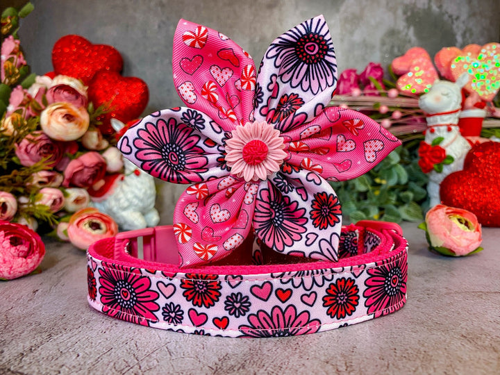 Valentine dog collar with flower - Daisy and heart