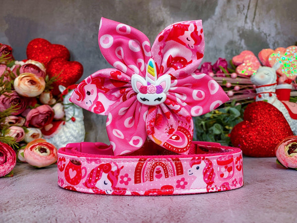 Valentine dog collar with flower - Unicorn