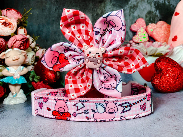 Valentine dog collar with flower - Piggy and heart