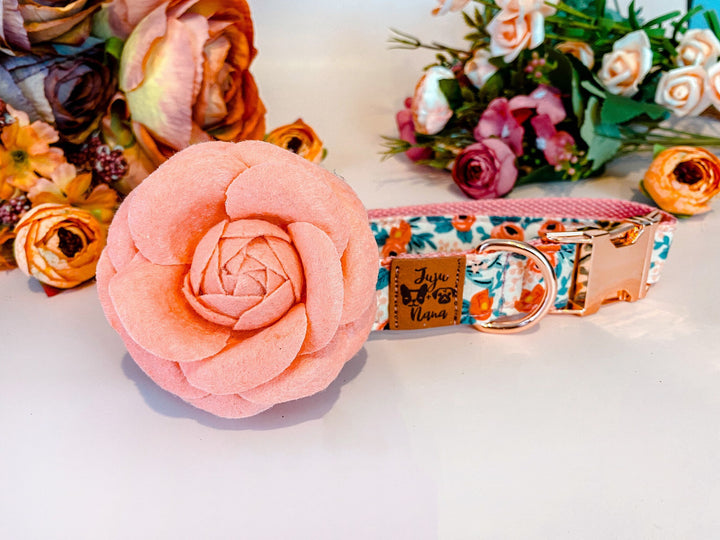 Dog collar with Flower - Rosa Peach