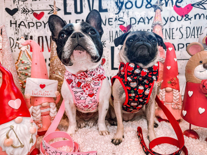 Valentine dog harness - piggy and heart