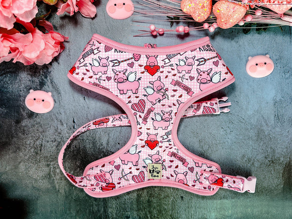 Valentine dog harness - piggy and heart