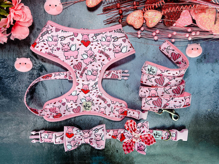 Valentine dog harness - piggy and heart