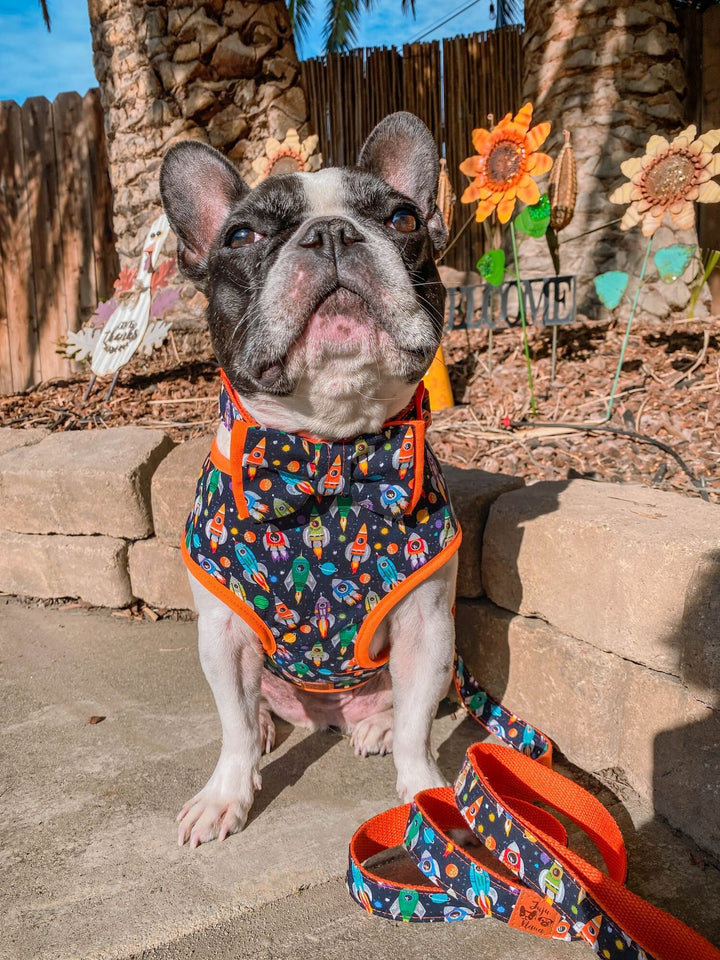 Spaceship rocket Dog harness vest/ Boy galaxy dog harness/ cute novelty dog harness/ small medium puppy dog harness/ soft fabric harness