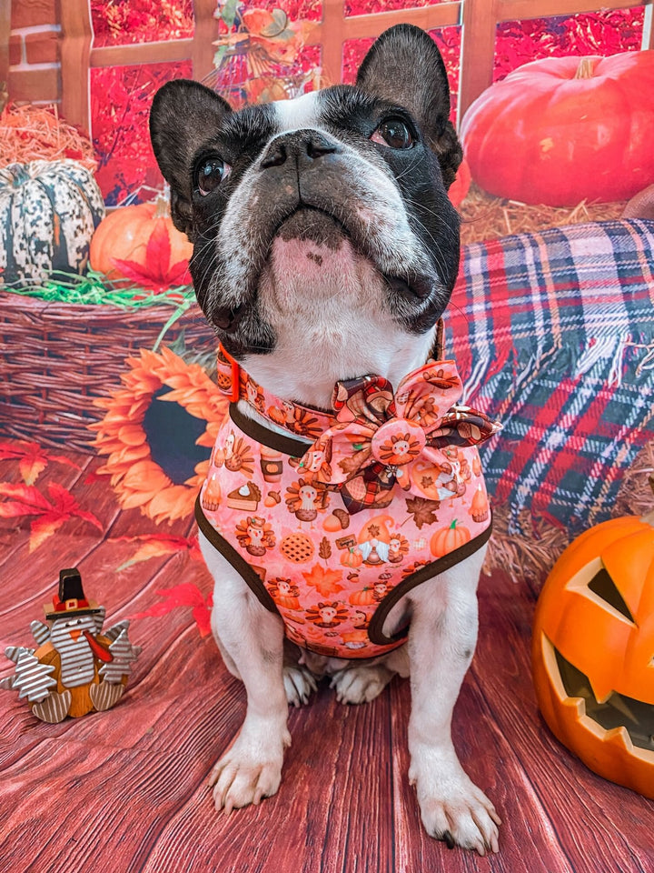 Thanksgiving dog harness - Turkey and gnomes