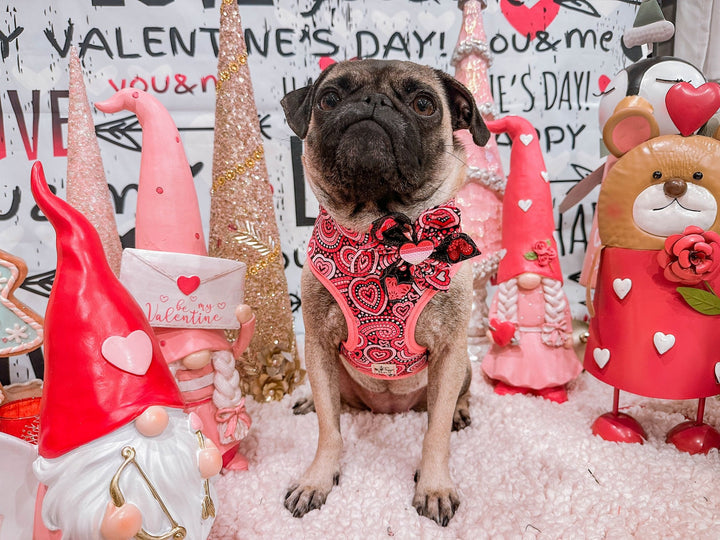 Valentine dog harness - Paisley hearts