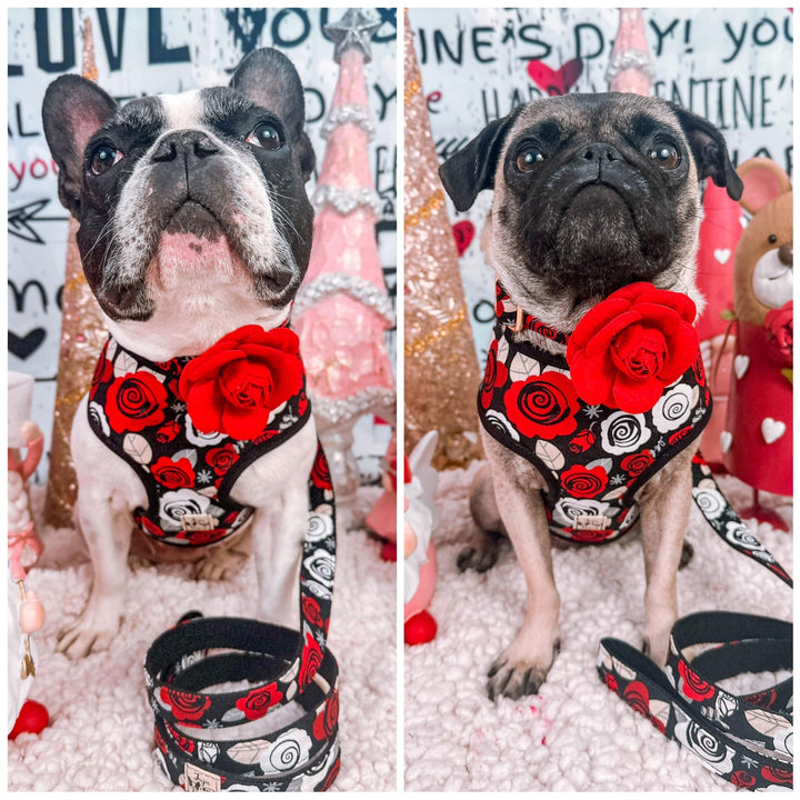 Valentine dog harness - Retro Rose - Black trim