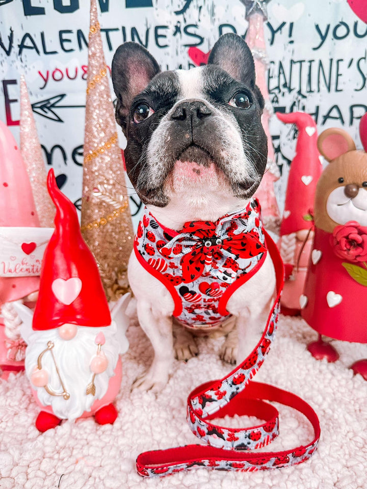 Valentine's day gnome ladybug dog harness vest/ cute heart harness/ girl boy dog harness/ Small medium harness/ puppy fabric dog harness