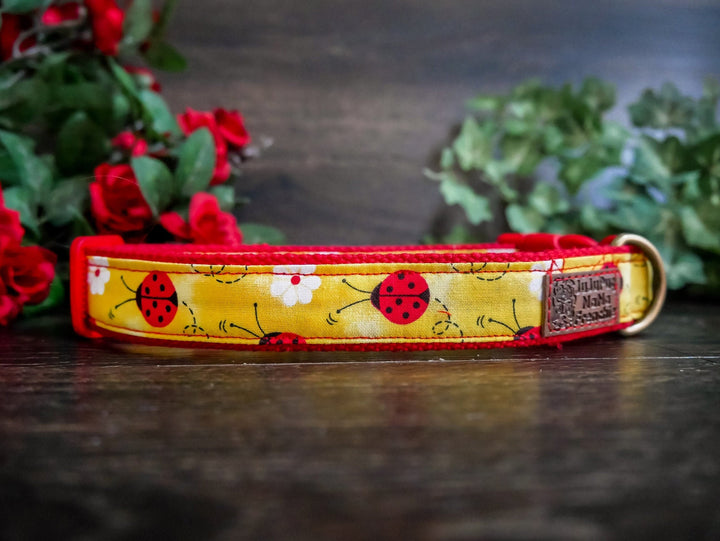 ladybug dog collar/ Girl dog collar/ daisy flower dog collar/ cute floral dog collar/ yellow red collar/ large dog collar/ small medium dog