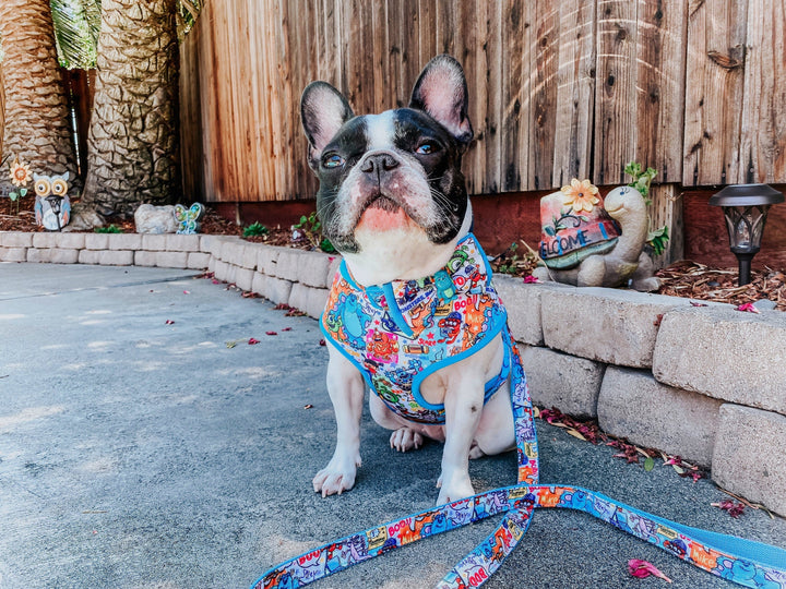 Monsters dog harness