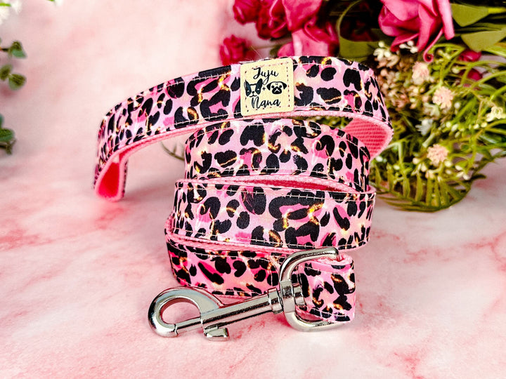 leopard cheetah dog collar/ Personalized Engraving Buckle Dog Collar