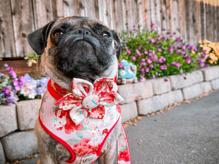 Dog collar with flower - Japanese Kimono bunny and flower