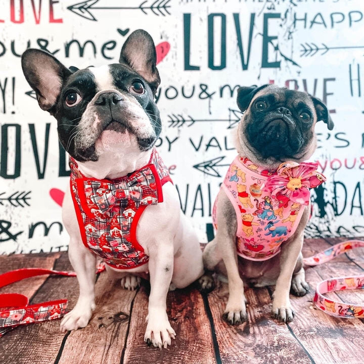 Cute girl dog harness vest/ pink boy dog harness/ puppy fabric harness/ Small medium dog harness/ Valentine’s day harness