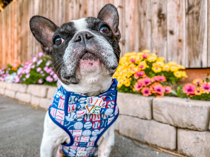 baseball dog collar with bow tie/ sport boy dog collar/ plaid dog collar/ large small puppy dog collar/ novelty soft fabric male dog  collar