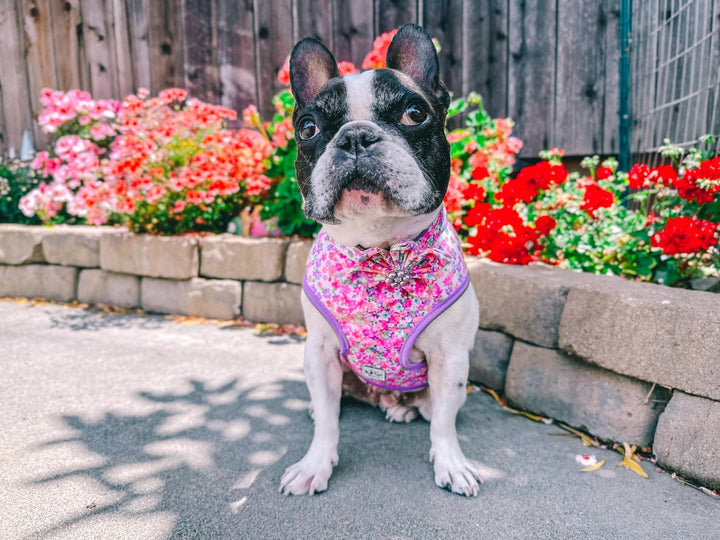 Floral dog harness/ pink purple girl harness vest/ custom small dog harness/ flower medium dog harness/ dog gift/ Easter dog harness