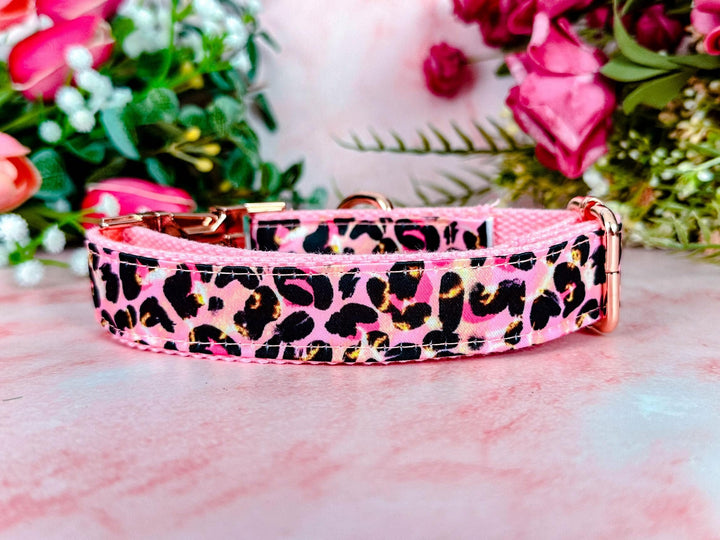 leopard cheetah dog collar/ Personalized Engraving Buckle Dog Collar