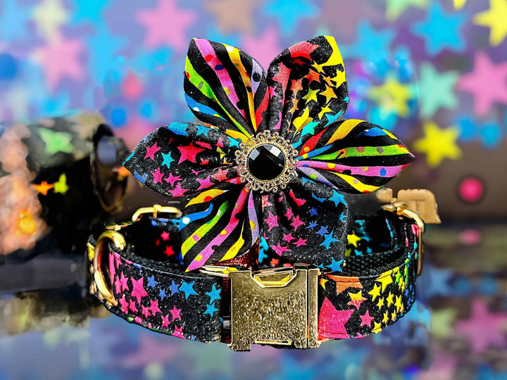 Dog collar with flower - rainbow stars