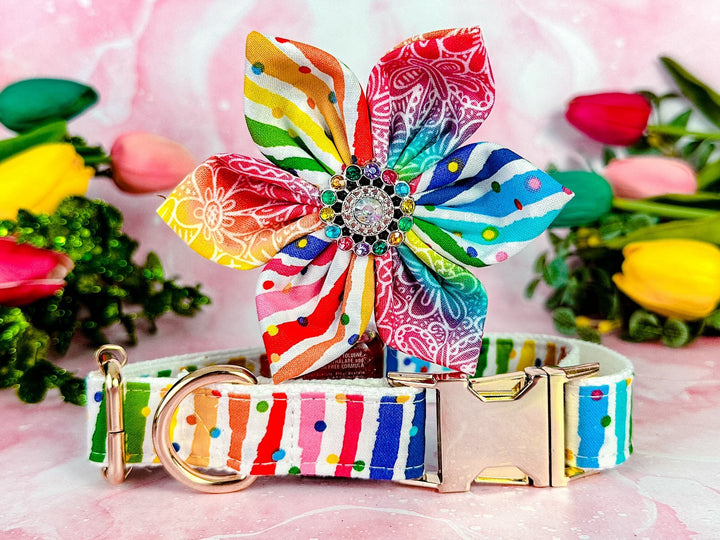 Dog collar with flower - rainbow stripe dots