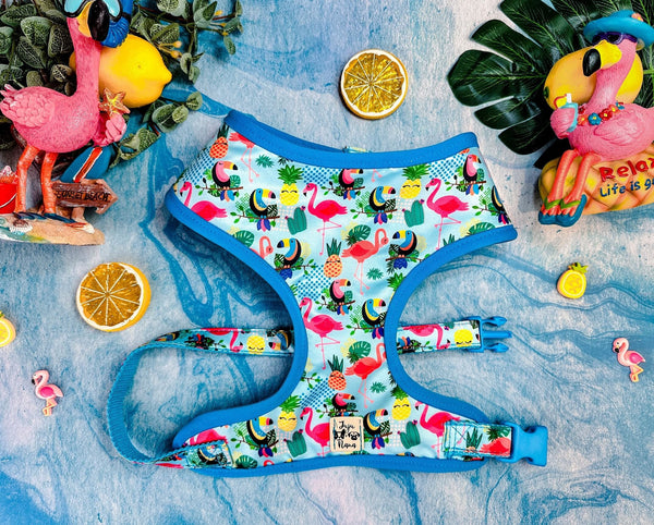 Tropical dog harness - Flamingo, Pineapple and Toucan - blue trim