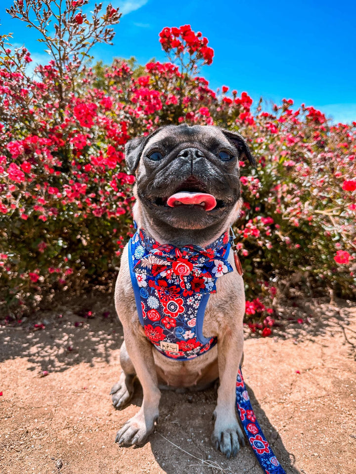 Patriotic floral rose dog harness vest/ flower girl boy dog harness