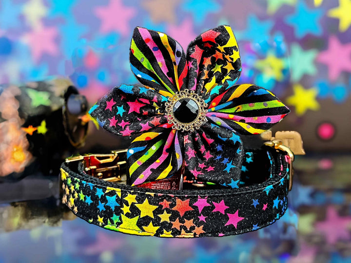 Dog collar with flower - rainbow stars