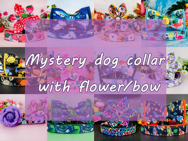 Mystery holiday collar with bow tie or flower