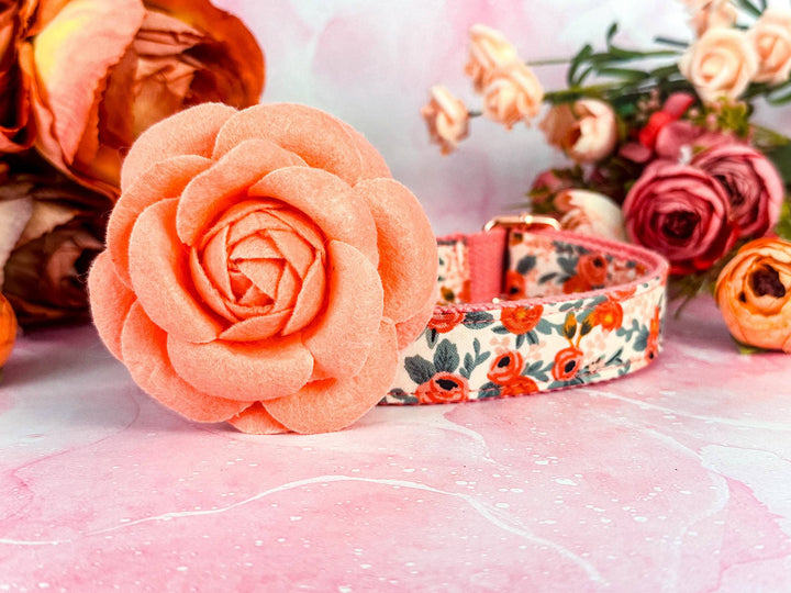 Dog collar with Flower - Rosa Peach