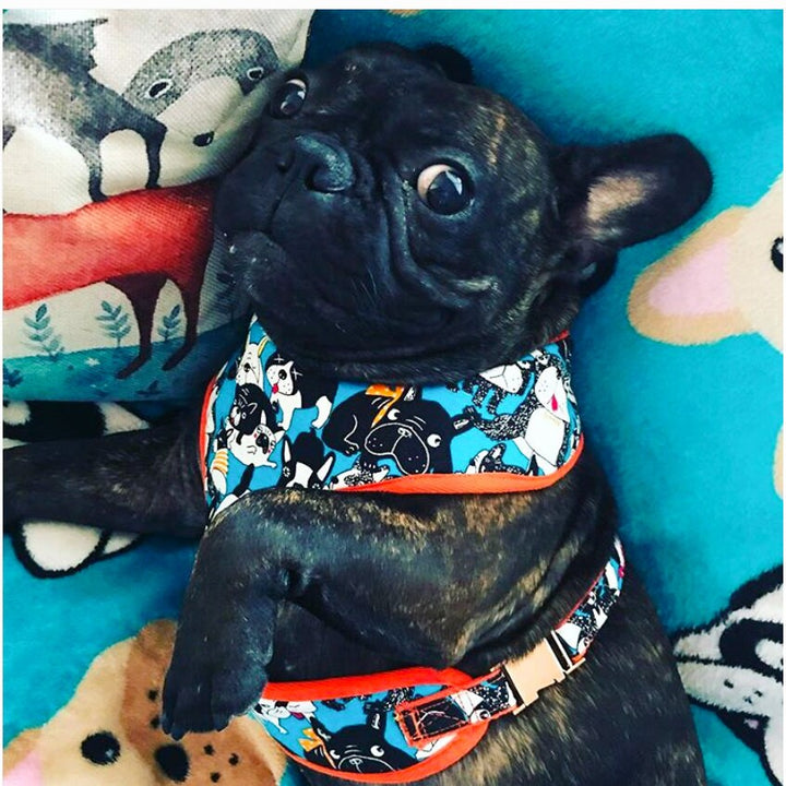 French bulldog harness vest/ boy Frenchie harness/ Boston Terrier harness/ pug fabric harness/ cute small puppy harness/ juju and nana