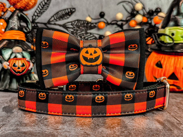 Halloween dog collar with bow tie - Plaid and Pumpkin