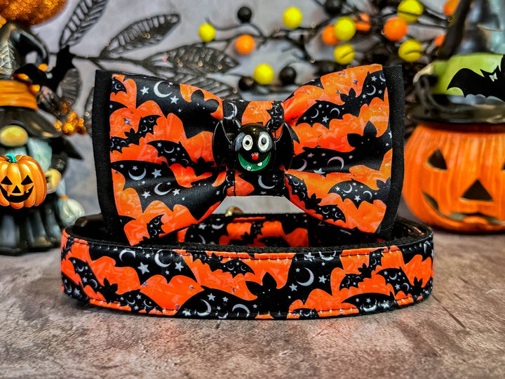 Halloween dog collar with bow tie - Bats and Stars