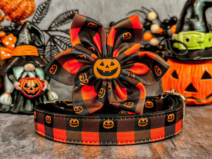 Halloween dog collar with flower - Plaid and Pumpkin